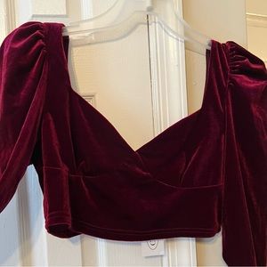 Cider Night Out Velvet Crop Top